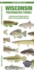Wisconsin Freshwater Fishes : A Waterproof Folding Guide to Native and Introduced Species - Book