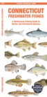 Connecticut Freshwater Fishes : A Waterproof Folding Guide to Native and Introduced Species - Book
