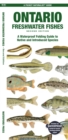 Ontario Freshwater Fishes : A Waterproof Folding Guide to Native and Introduced Species - Book