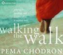 Walking the Walk : Putting the Teachings into Practice When it Matters Most - Book