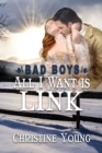 All I Want is Link - Book