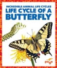 Life Cycle of a Butterfly - Book