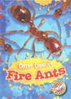 Fire Ants - Book