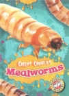Mealworms - Book
