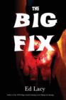The Big Fix - Book