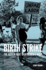 Birth Strike : The Hidden Fight over Women's Work - eBook
