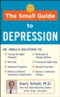 The Small Guide to Depression - Book