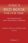Jung's Red Book for Our Time : Searching for Soul Under Postmodern Conditions Volume 3 - Book