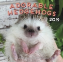 Adorable Hedgehogs 2019 : 16-Month Calendar - September 2018 through December 2019 - Book