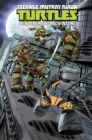 Teenage Mutant Ninja Turtles: New Animated Adventures Volume 3 - Book