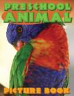 Preschool Animal Picture Book - Book