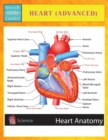Heart (Advanced) (Speedy Study Guides) - Book