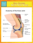 Knee Anatomy (Speedy Study Guides) - Book