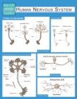 Human Nervous System (Speedy Study Guide) - Book