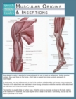 Muscular Origins & Insertions (Speedy Study Guide) - Book