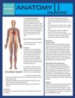 Anatomy II (Human) (Speedy Study Guide) - Book