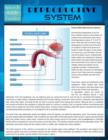 Reproductive System (Speedy Study Guide) - Book
