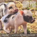 Baby Pigs 2021 Wall Calendar : Pig Pictutes, 8.5" x 8.5", 12 Month Calendar Planner for Home, Work, Office Gifts - Book