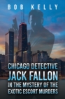 Chicago Detective Jack Fallon in the Mystery of the Exotic Escort Murders - eBook