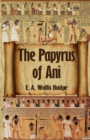 The Egyptian Book of the Dead : The Complete Papyrus of Ani: The Complete Papyrus of Ani Paperback - Book