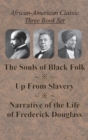 African-American Classic Three Book Set - The Souls of Black Folk, Up From Slavery, and Narrative of the Life of Frederick Douglass - Book