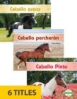 Caballos (Horses) (Set of 6) - Book