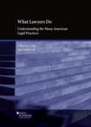 What Lawyers Do : Understanding the Many American Legal Practices - Book