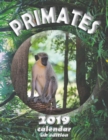Primates 2019 Calendar (UK Edition) - Book