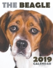 The Beagle 2019 Calendar (UK Edition) - Book