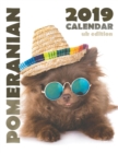 Pomeranian 2019 Calendar (UK Edition) - Book