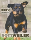 Rottweiler 2019 Calendar (UK Edition) - Book