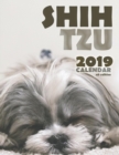 Shih Tzu 2019 Calendar (UK Edition) - Book