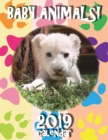 Baby Animals! 2019 Calendar (UK Edition) - Book
