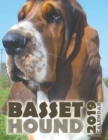 Basset Hound 2019 Calendar (UK Edition) - Book