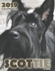 Scottie 2019 Calendar (UK Edition) - Book