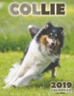 Collie 2019 Calendar (UK Edition) - Book