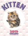 Kitten 2019 Calendar (UK Edition) - Book