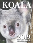 Koala 2019 Calendar (UK Edition) - Book