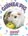 Guinea Pig 2019 Calendar (UK Edition) - Book