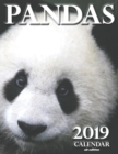 Pandas 2019 Calendar (UK Edition) - Book
