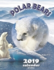 Polar Bears 2019 Calendar (UK Edition) - Book