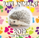 Baby Animals! 2019 Mini Wall Calendar (UK Edition) - Book