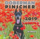 Doberman Pinscher 2019 Mini Wall Calendar (UK Edition) - Book