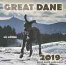 Great Dane 2019 Mini Wall Calendar (UK Edition) - Book