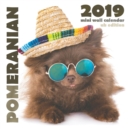 Pomeranian 2019 Mini Wall Calendar (UK Edition) - Book