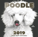 Poodle 2019 Mini Wall Calendar (UK Edition) - Book