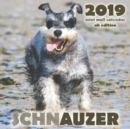 Schnauzer 2019 Mini Wall Calendar (UK Edition) - Book