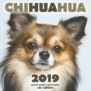 Chihuahua 2019 Mini Wall Calendar (UK Edition) - Book