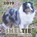 Sheltie : Shetland Sheepdog 2019 Mini Wall Calendar (UK Edition) - Book