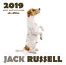 Jack Russell 2019 Mini Wall Calendar (UK Edition) - Book